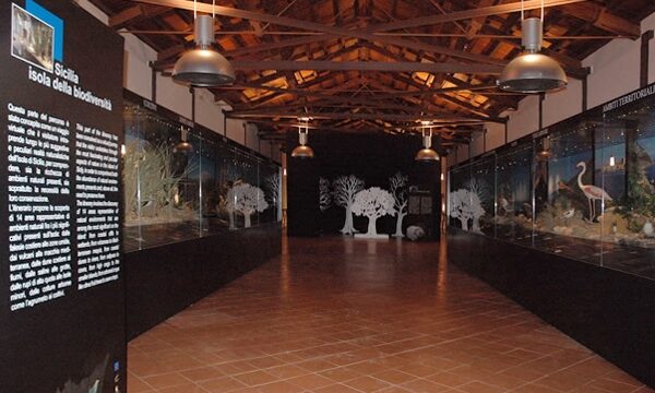 Museo regionale di Terrasini