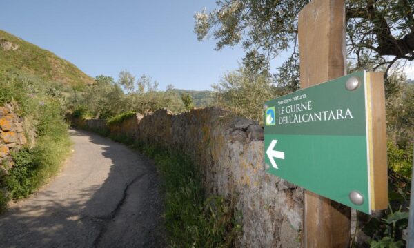 alcantara