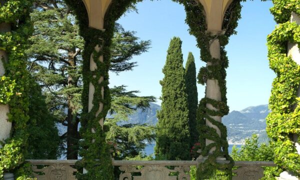 giornate fai