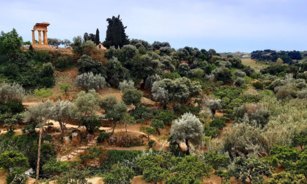 Il Giardino della Kolymbethra